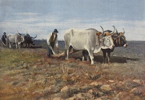 Plowmen in the Roman Countryside by European Photographer